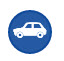 Theft of Vehicles logo