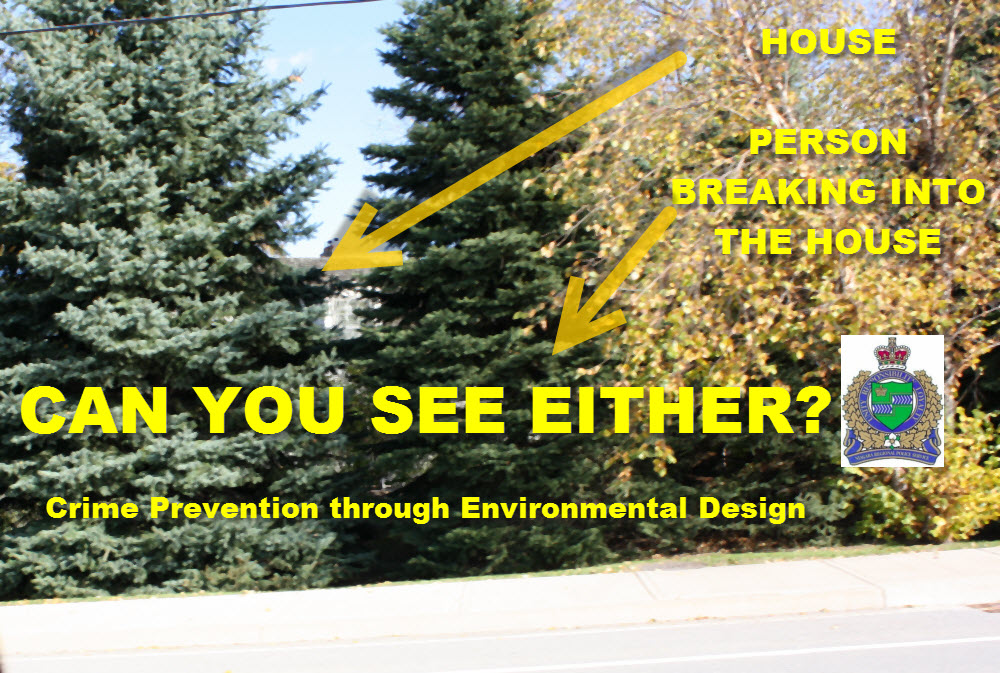 Crime Prevention Through Environmental Design photo