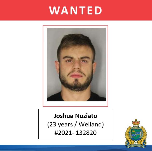 wanted man joshua nuziato