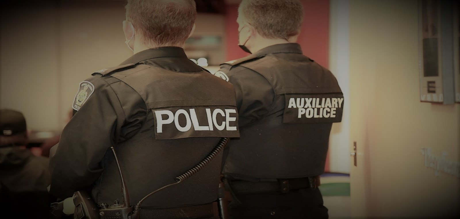 Auxiliary