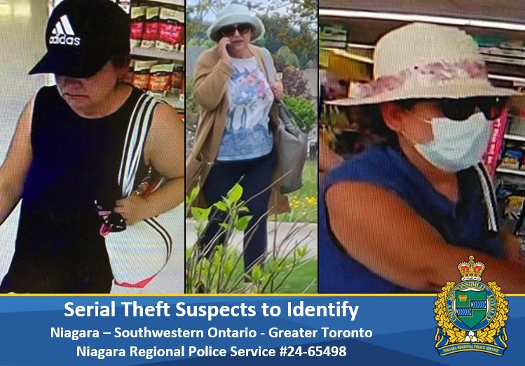 female theft suspect 2