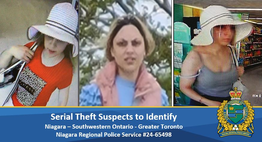 female theft suspect 1