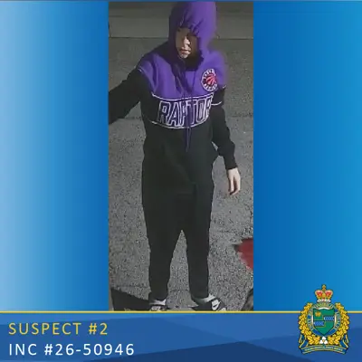 Photo of Suspect 2