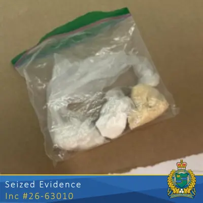 Photo of Seized Drugs